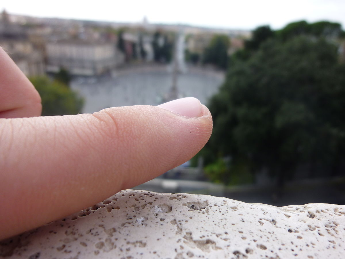 1200px-Fingerisrome.JPG