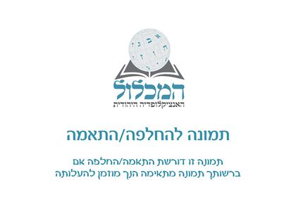 פרחים מעל קברו של מחמוד ח'יר א-דין בתום מסע ההלוויה