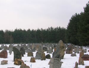 Treblinka's Memorial in Winter.JPG