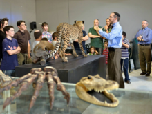 Predators at the Biblical Museum of Natural History.png